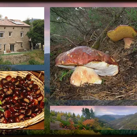 De La Chanal 07 Bed & Breakfast